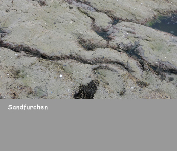 Sandfurchen